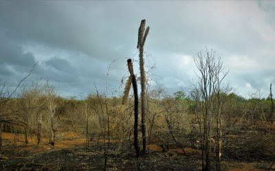 Fonds « pertes et préjudices » pour les pays vulnérables : Une première victoire pour la justice climatique